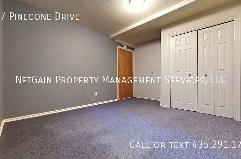 357 Pinecone Dr — Photo 19