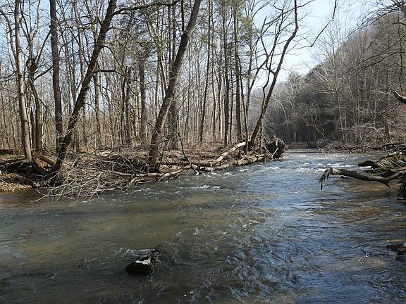 2nd image of Rush Creek Rd