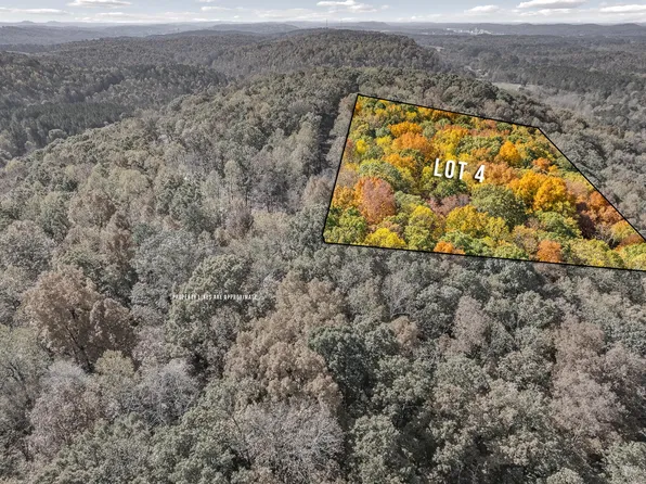 4 County Road 29 Lot 4, Riceville, TN 37370