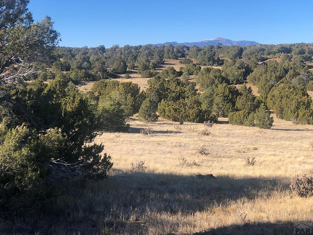 394 Rio Cucharas, Walsenburg, CO 81089 Zillow