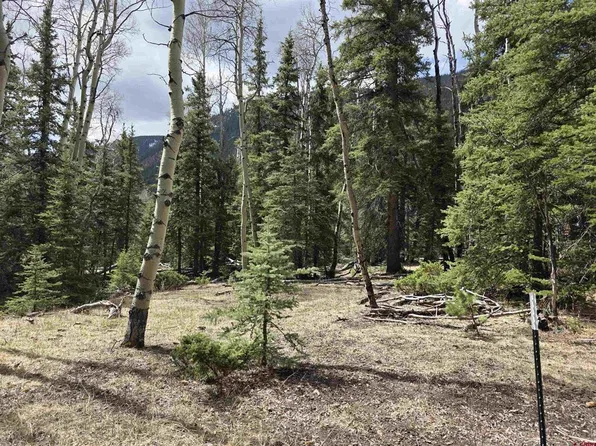 Tract 24 Pagosa Avenue, Jasper, CO 81132