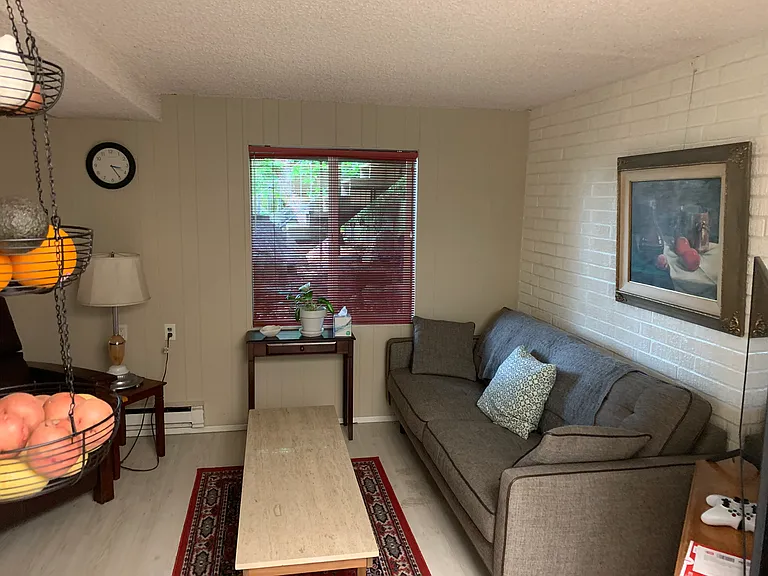 Living Room. Photos show the unit furnished by previous tenants; the unit will be delivered vacant.