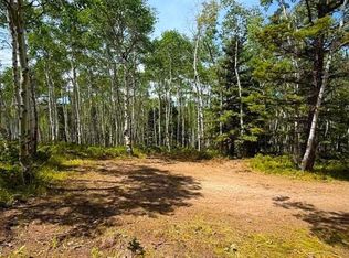 261 Crest Dr, Cimarron, CO 81220