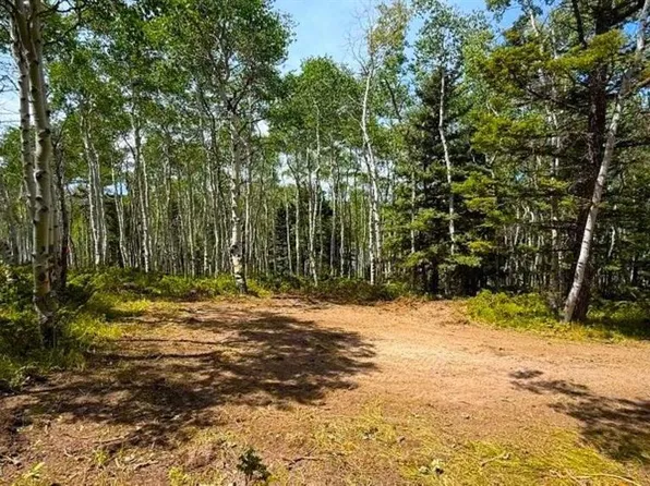 261 Crest Drive, Cimarron, CO 81220