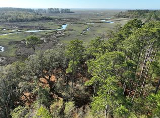LOT 8 Piney Bluff Rd, Waverly, GA 31565
