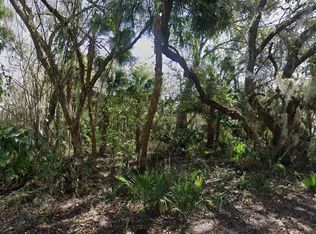 Nancy St Lot 7, Oak Hill, FL 32759
