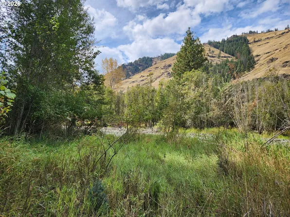 60152 River Canyon Rd, Imnaha, OR 97842