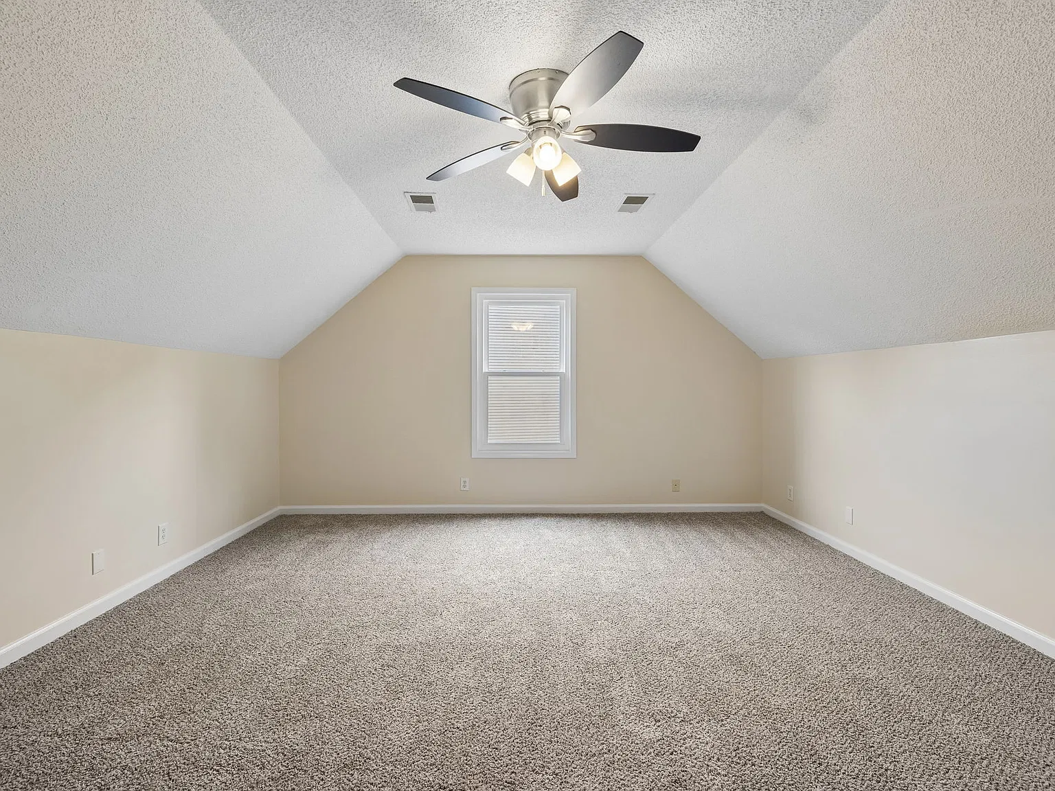 Blue Willow Ct, Clarksville — Photo 1