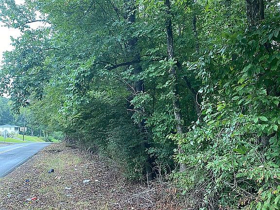 5th image of 1001 Chickasaw Dr