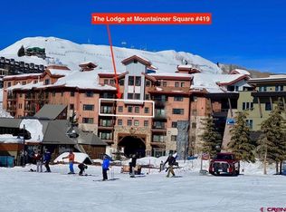 620 Gothic Rd #419, Mount Crested Butte, CO 81225