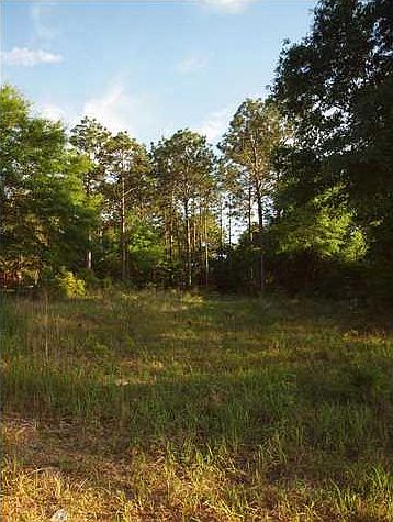 2nd image of 8745 Hunters Pointe Dr N