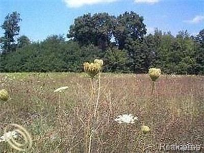 LOT 13 Outback Trl, Pinckney, MI, 48169