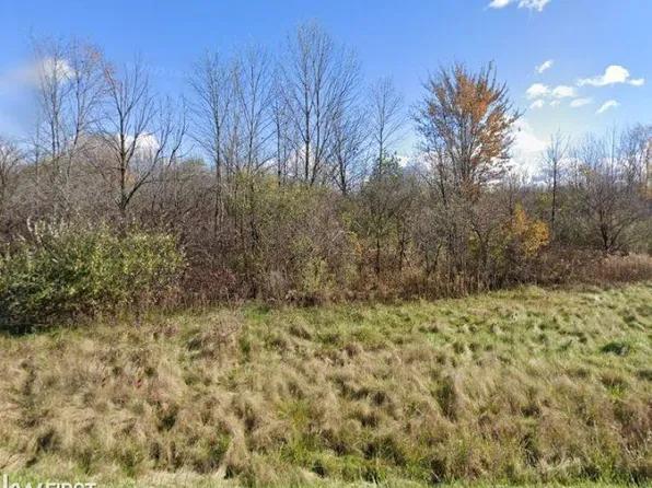 5253 Van Vleet Rd, Swartz Creek, MI 48473