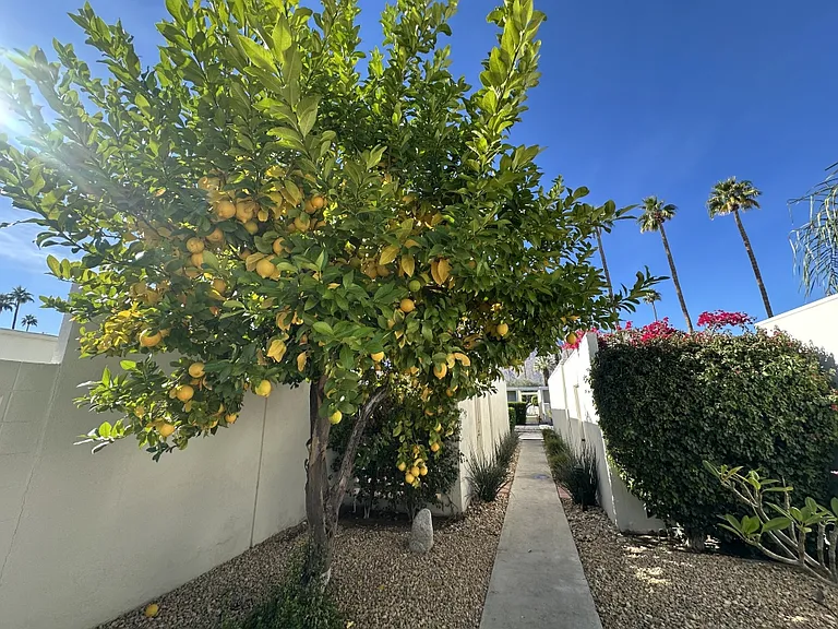 1820 Sandcliff Rd — Photo 8