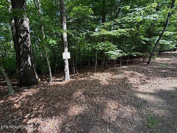 2nd image of Beechwood Dr #3