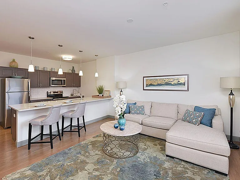 Betty Jo kitchen and living room