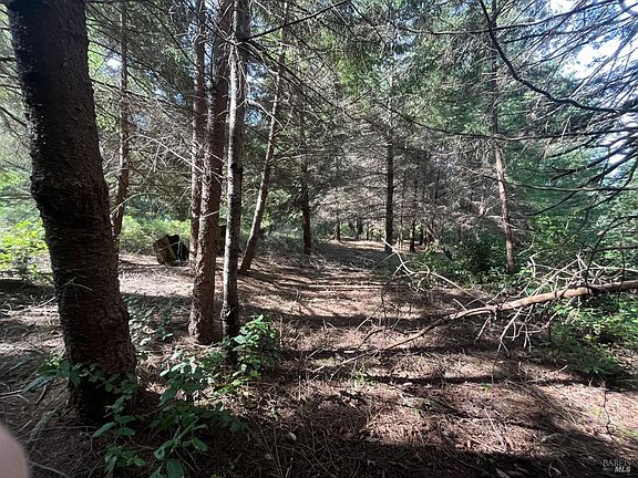 2nd image of 30055 Seaview Road