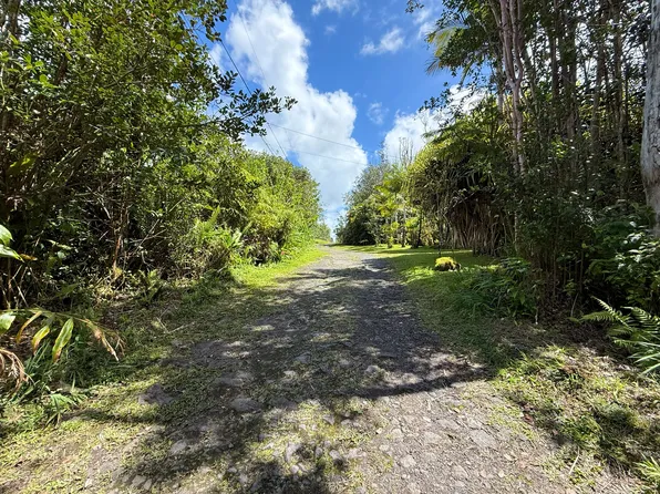 Road 4 Kea #Io, Kurtistown, HI 96760