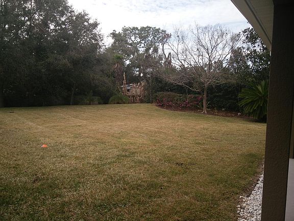 Spacious yard great for kids & play