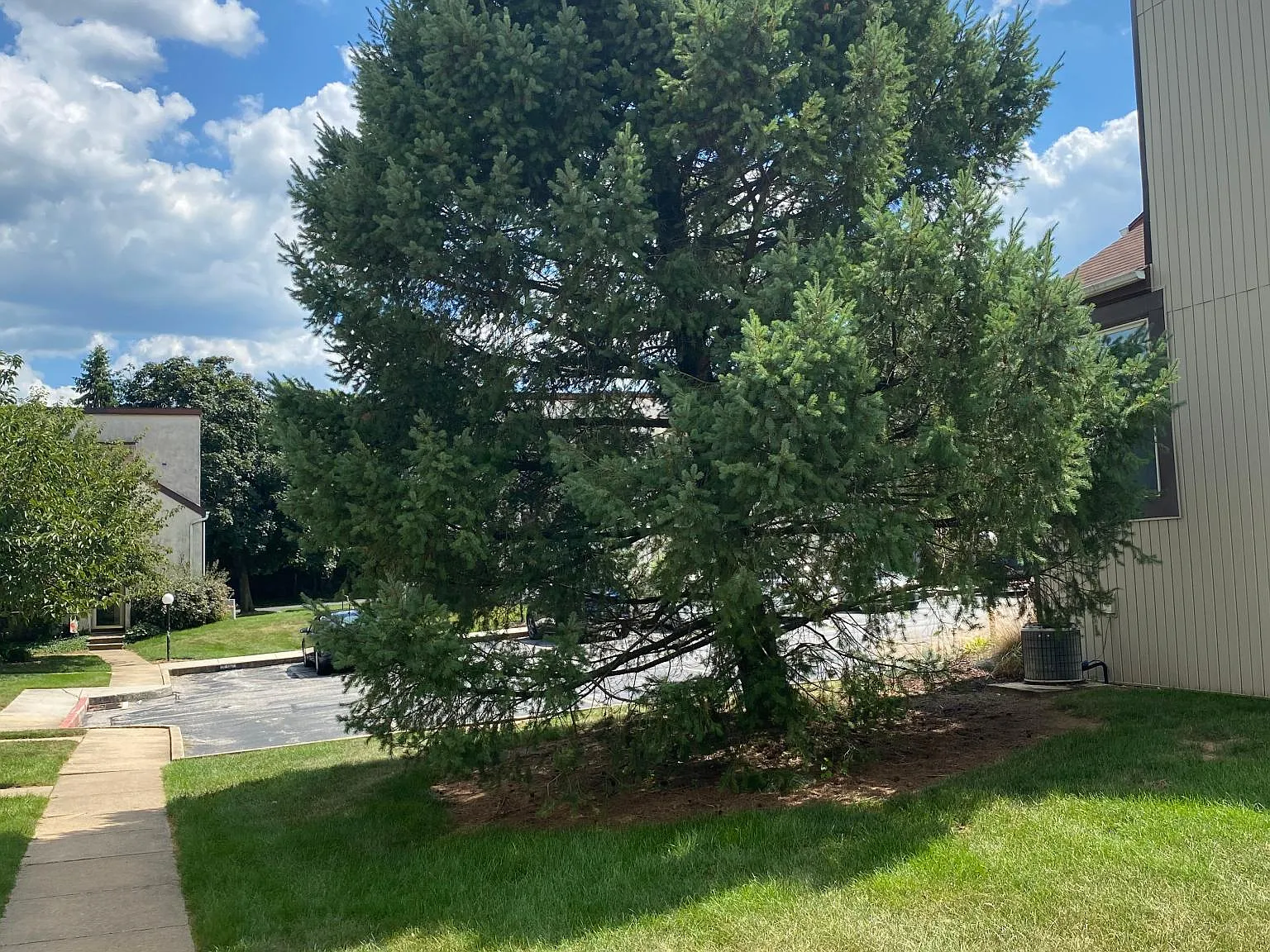 11 Weymouth Ct — Photo 3