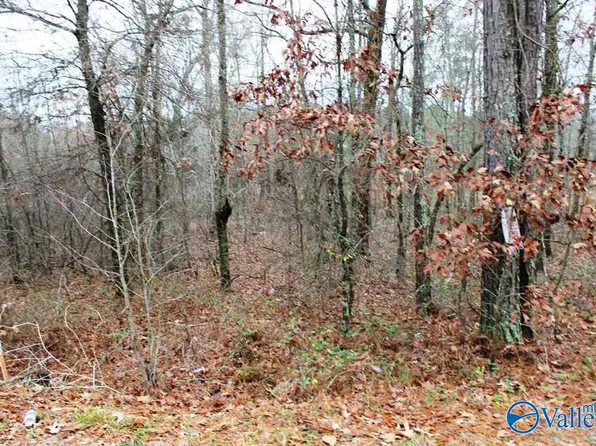 5 Quail Dr, Centre, AL 35960