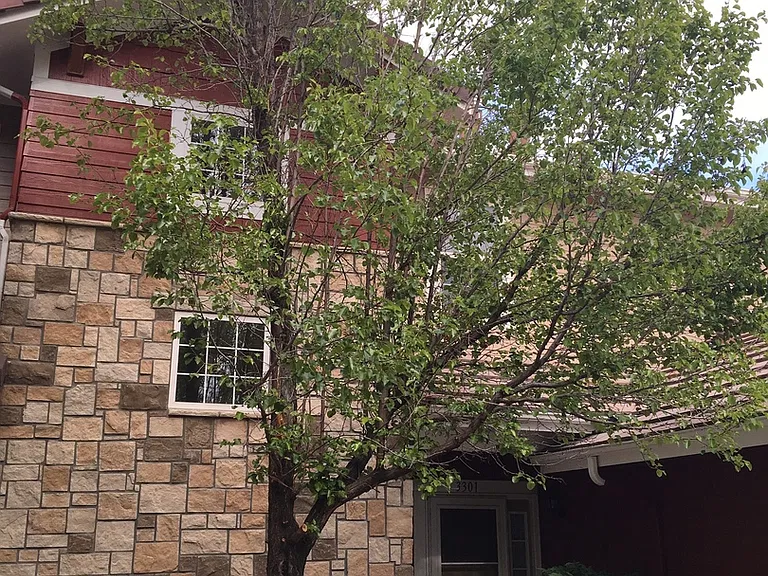 3303 Molly Ln — Photo 1