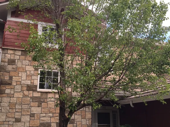 3303 Molly Ln, Broomfield, CO 80020