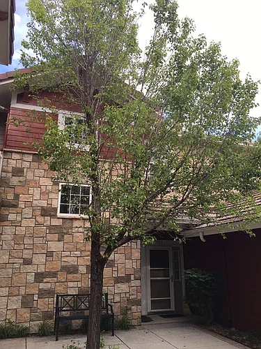 3303 Molly Ln Photo 1