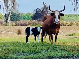 0 E Oak Island Rd, Avon Park, FL 33825