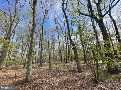 305 Mountain Snow Cir, Zion Grove, PA, 17985