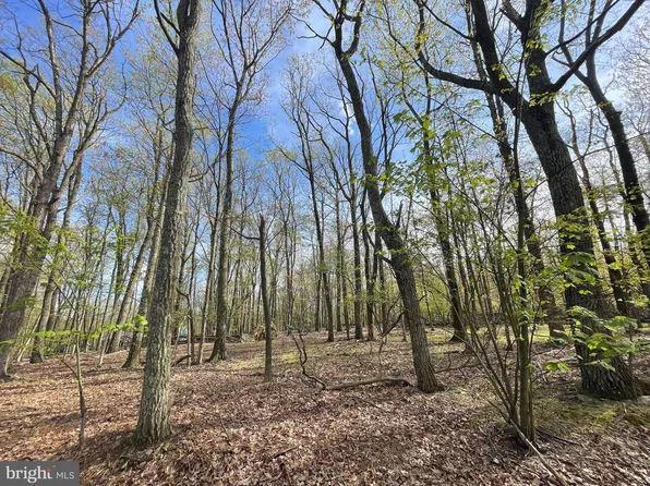 305 Mountain Snow Cir, Zion Grove, PA 17985