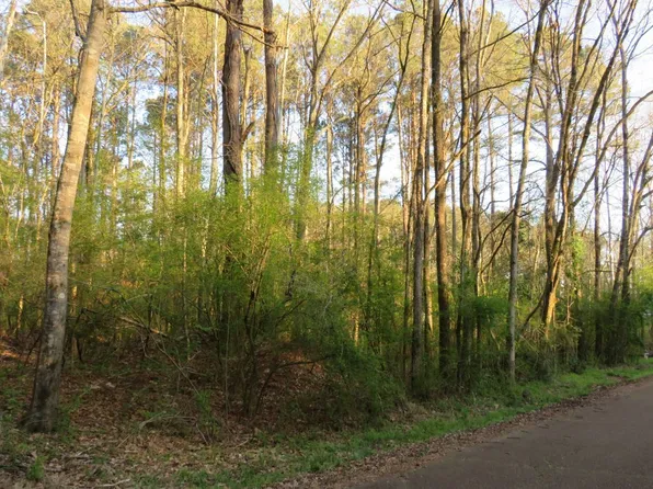 0 Woodland St, Kosciusko, MS 39090