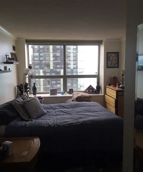 474 N Lake Shore Dr #4203 — Photo 6