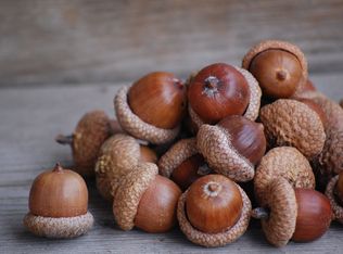 14 Acorn St APT 2, Biddeford, ME 04005