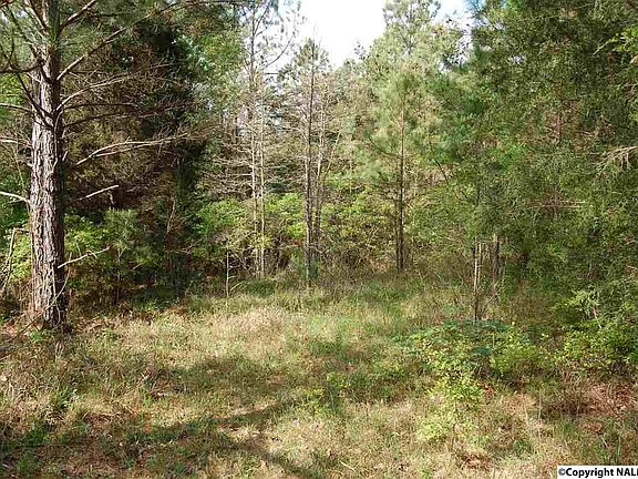 4th image of 208 County Road 1078