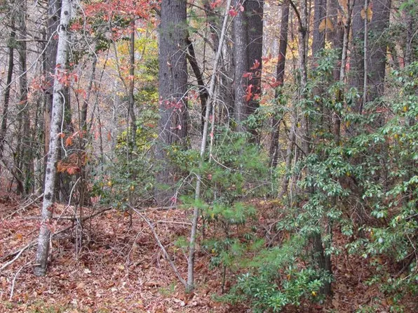Lot # 62 Big Pine Road, Sapphire, NC 28774
