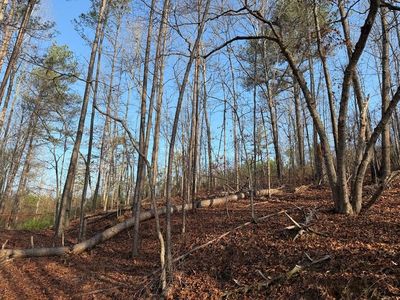0 Lower Sweetwater Ln, Canton, GA, 30114