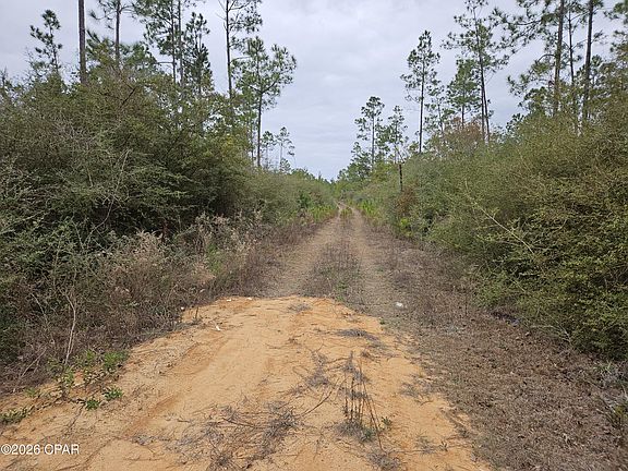 5th image of 0 Singer Rd