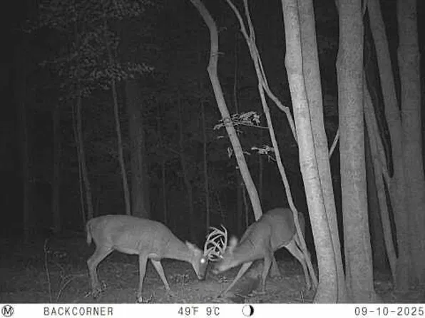 Zion Rd, Hamden, OH 45634