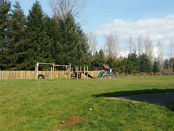 Play Area - Large grass back yard