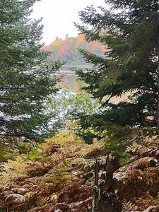 Near Pomeroy Lake Rd #28, Marenisco, MI, 49947