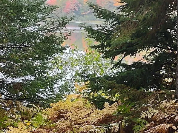 Near Pomeroy Lake Rd #28, Marenisco, MI 49947