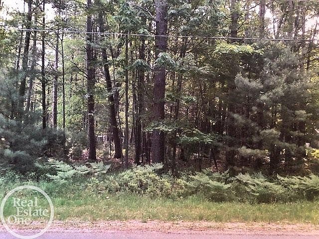 1st image of 0 N Tawas Lake Rd