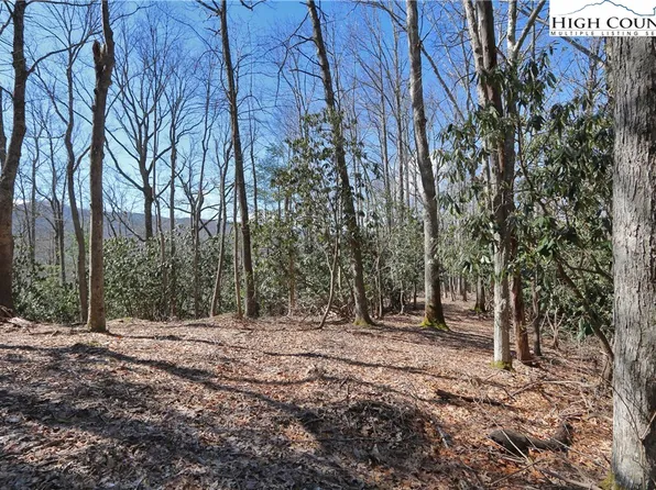 Lots 47 & 48 Abaco Drive, Vilas, NC 28692