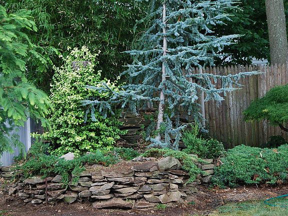 5th image of 634 Interlaken Lane