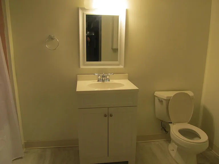 Partially finished basement features full bath and laundry