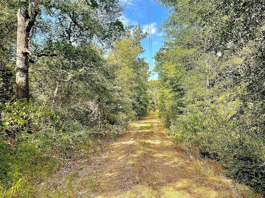 17855 Wellman Rd, Washington, TX 77880 MLS 45646122 Zillow