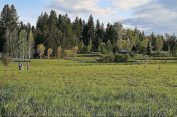 2nd image of 10758 Baldy Mountain Rd