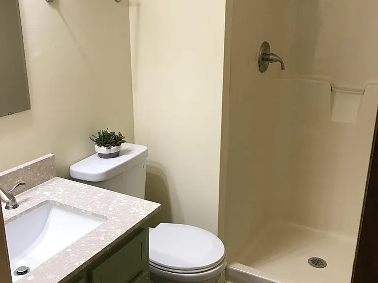 Renovated guest bath with shower