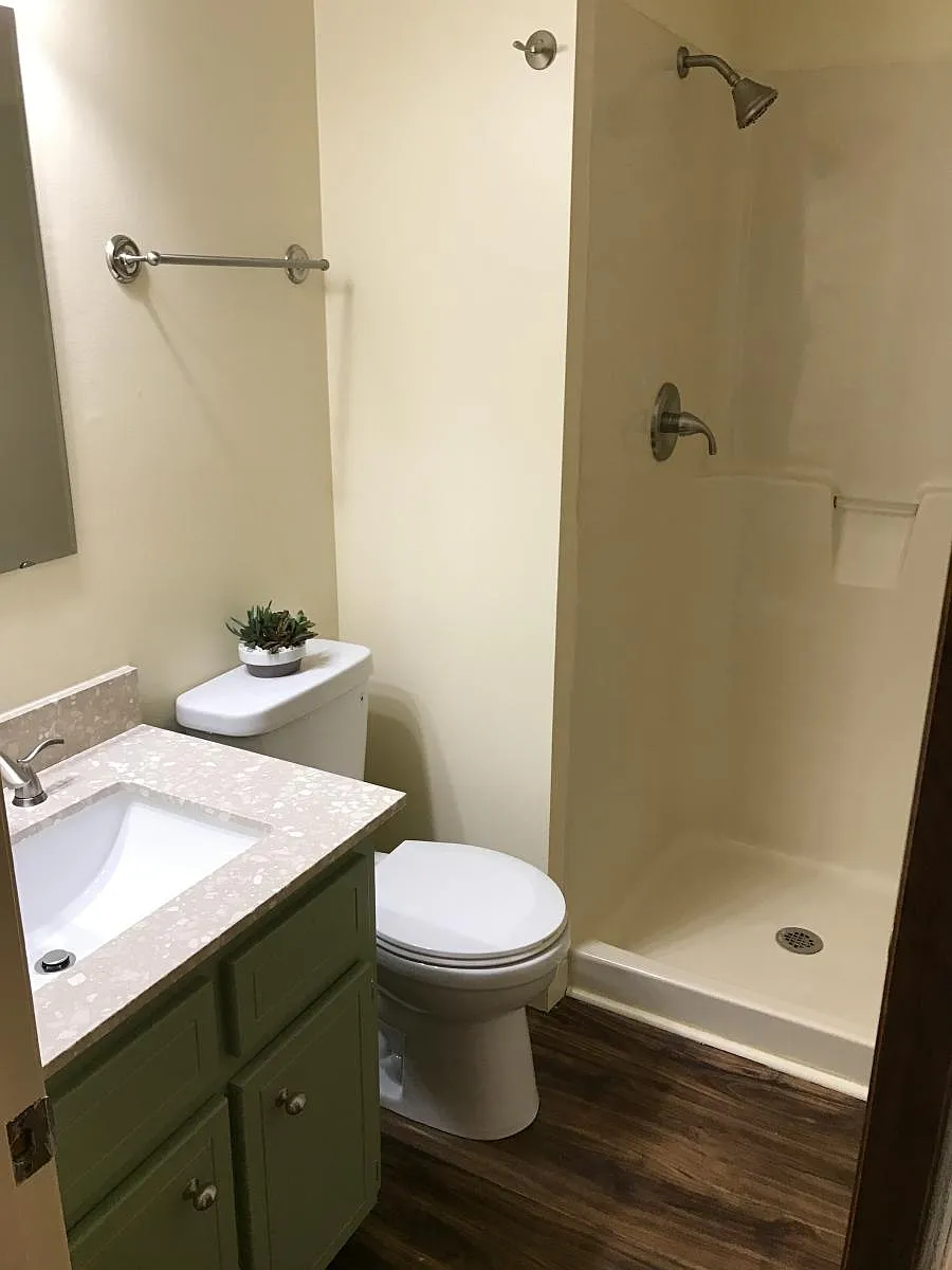 Renovated guest bath with shower - 224 E 1st Ct